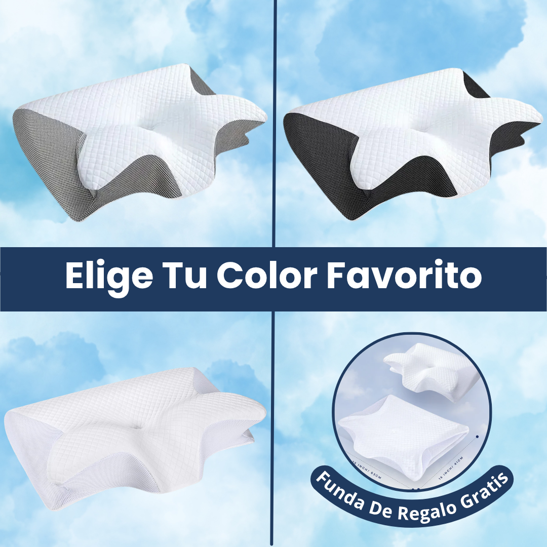 Zenova CloudAlign™