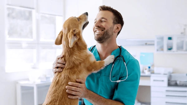 files/cheerful-man-veterinarian-doctor-cuddling-600nw-2684638717.webp